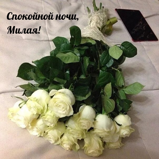 Спокойной ночи, милая!