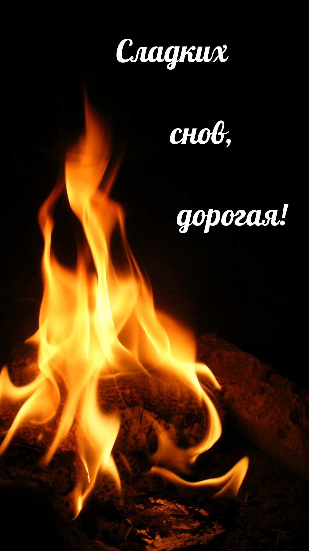 Сладких снов, дорогая!