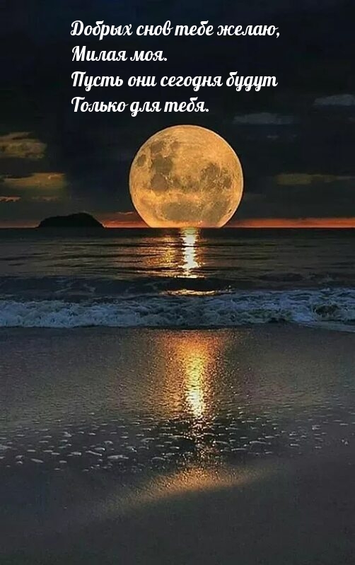 Добрых снов тебе желаю, милая моя.