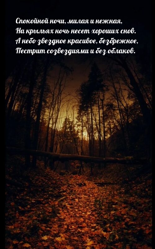 Спокойной ночи, милая и нежная, на крыльях ночь несет хороших снов.