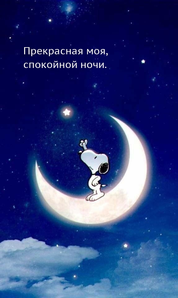 Прекрасная моя, спокойной ночи.