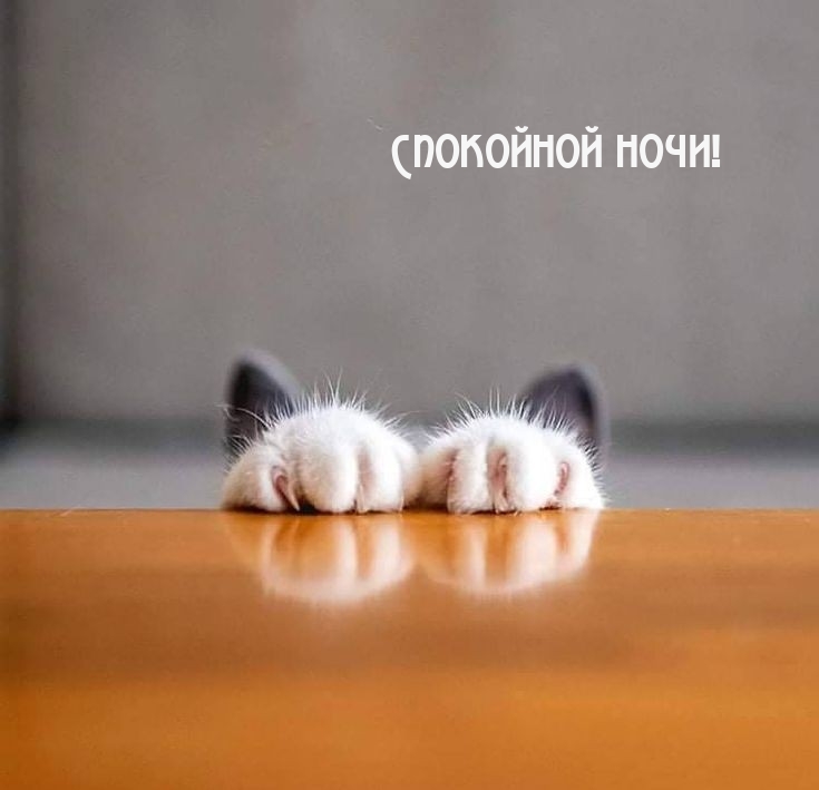 Спокойной ночи!