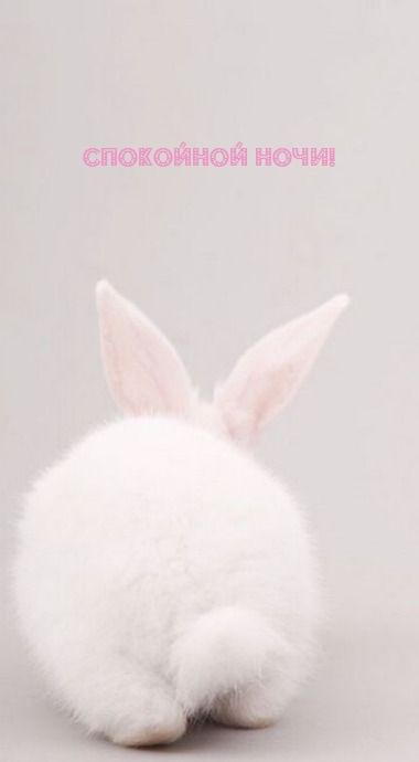 Спокойной ночи!