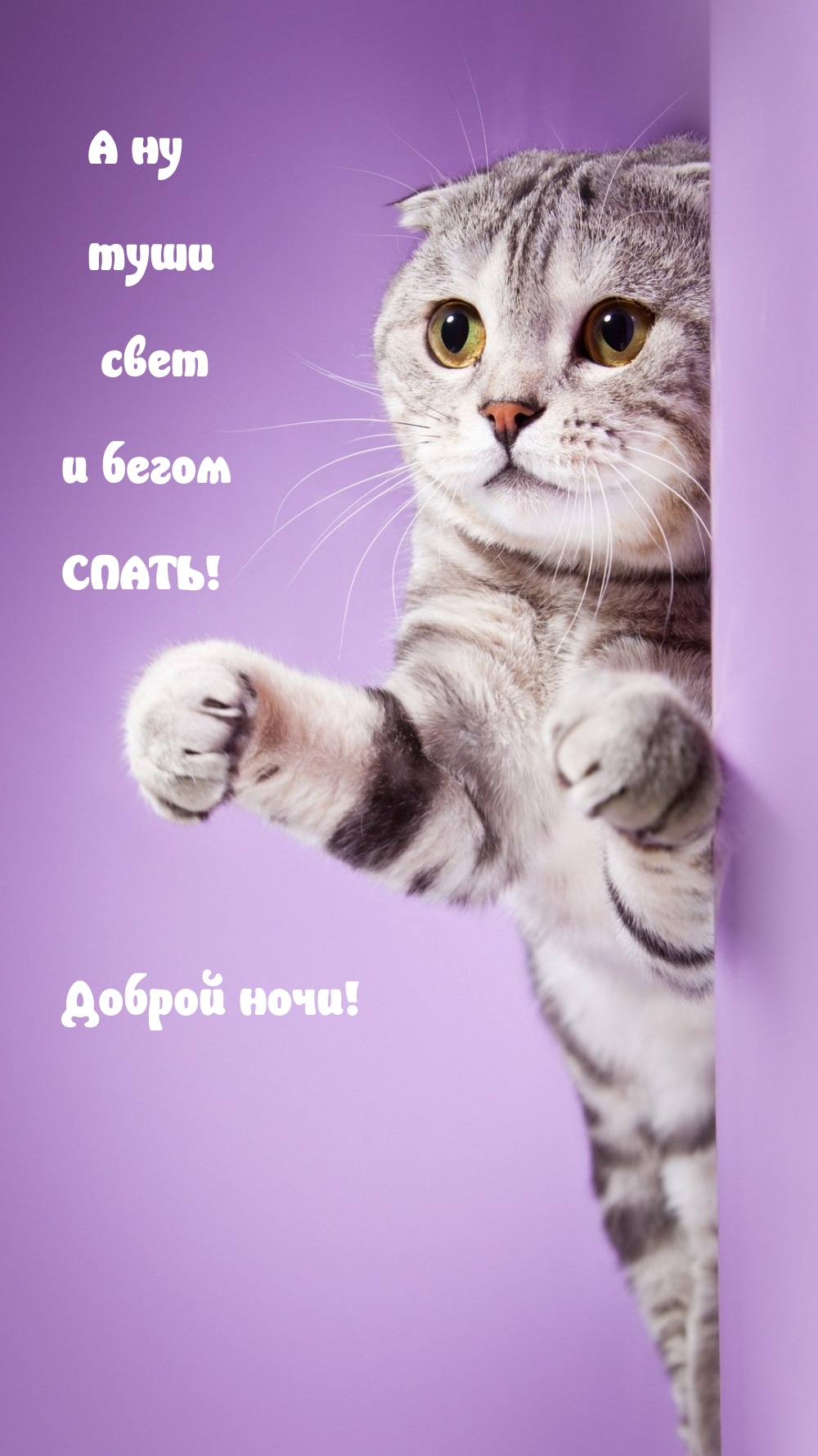 А ну туши свет и бегом СПАТЬ! Доброй ночи!