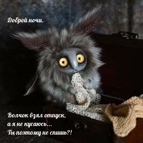 Доброй ночи. Волчок взял отпуск