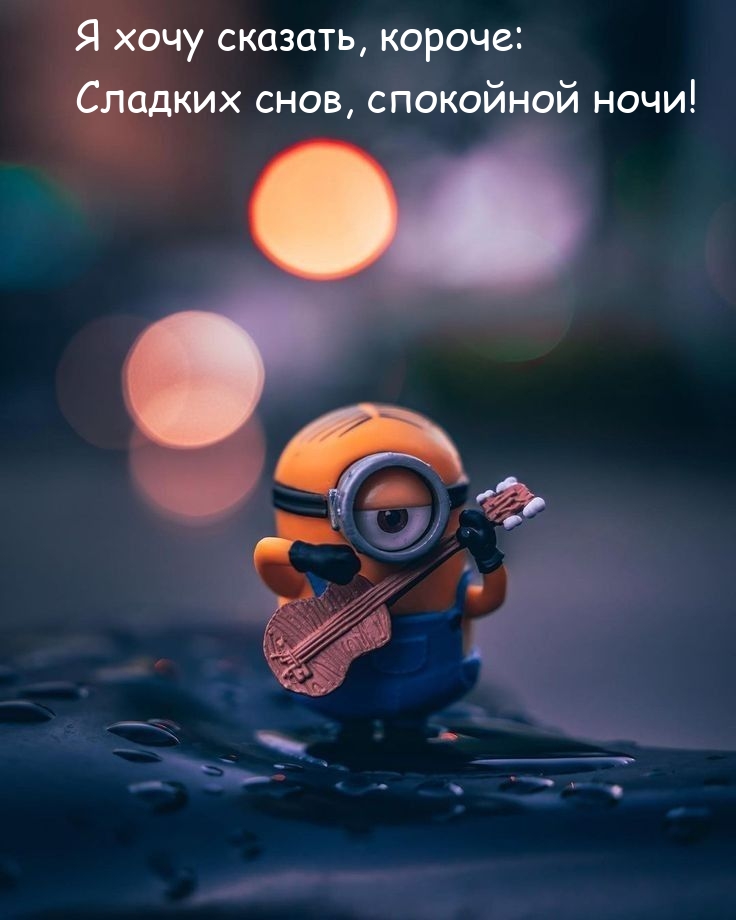 Я хочу сказать, короче: сладких снов, спокойной ночи!