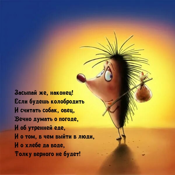 Засыпай же, наконец! Если будешь колобродить и считать собак, овец