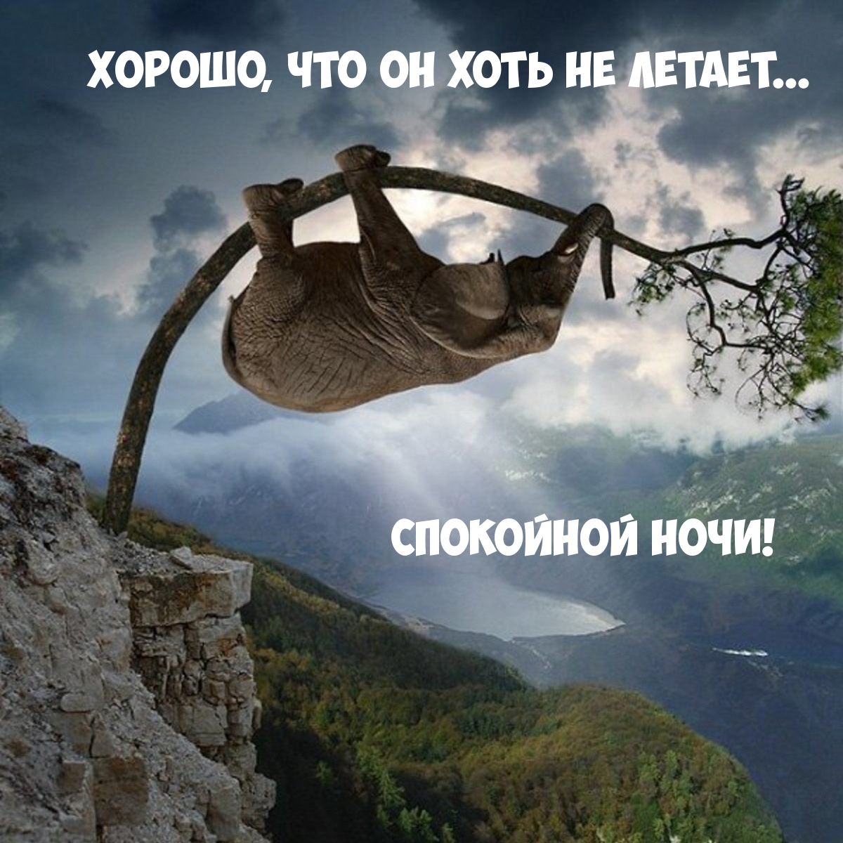 Хорошо, что он хоть не летает... Спокойной ночи!