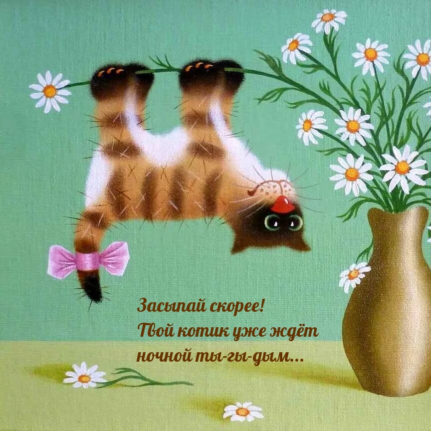 Засыпай скорее! Твой котик уже ждёт ночной ты-гы-дым...