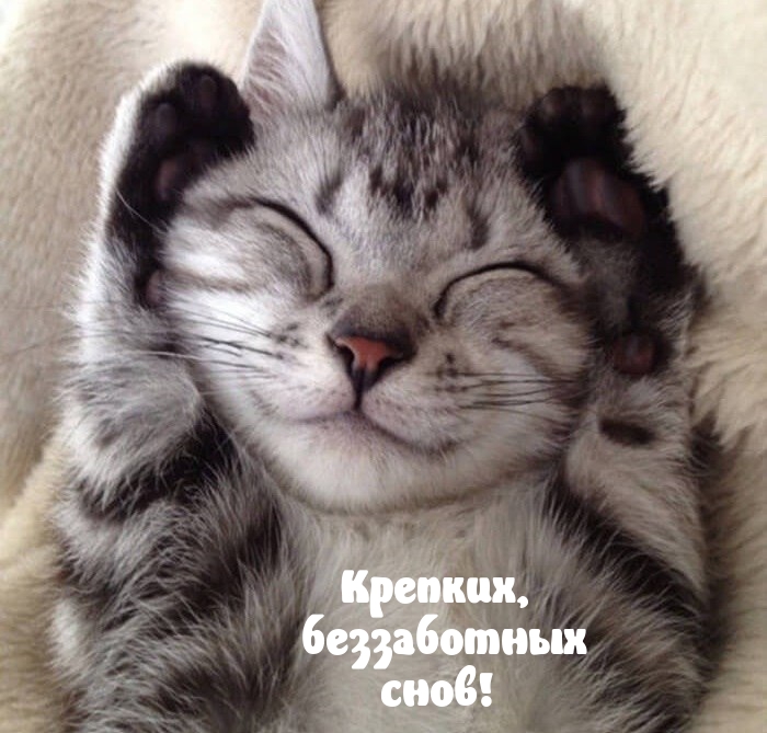 Крепких, беззаботных снов!