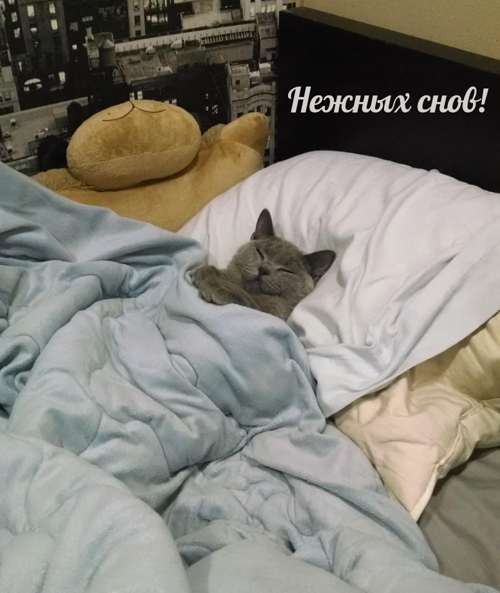 Нежных снов!