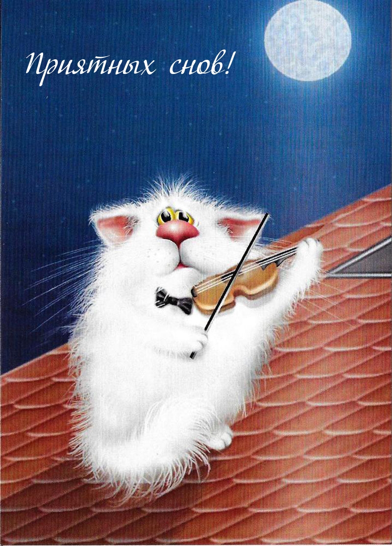 Приятных снов!