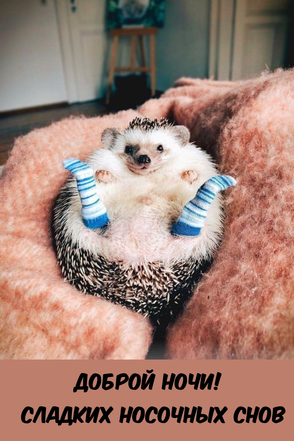 Доброй ночи! Сладких носочных снов