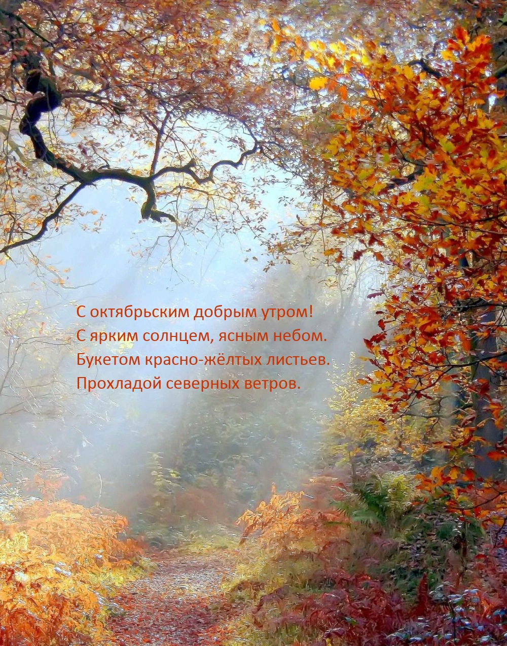 С октябрьским добрым утром! С ярким солнцем, ясным небом