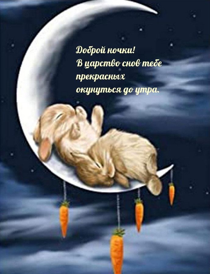 Доброй ночки! В царство снов тебе прекрасных окунуться до утра.