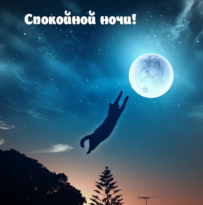 Спокойной ночи!