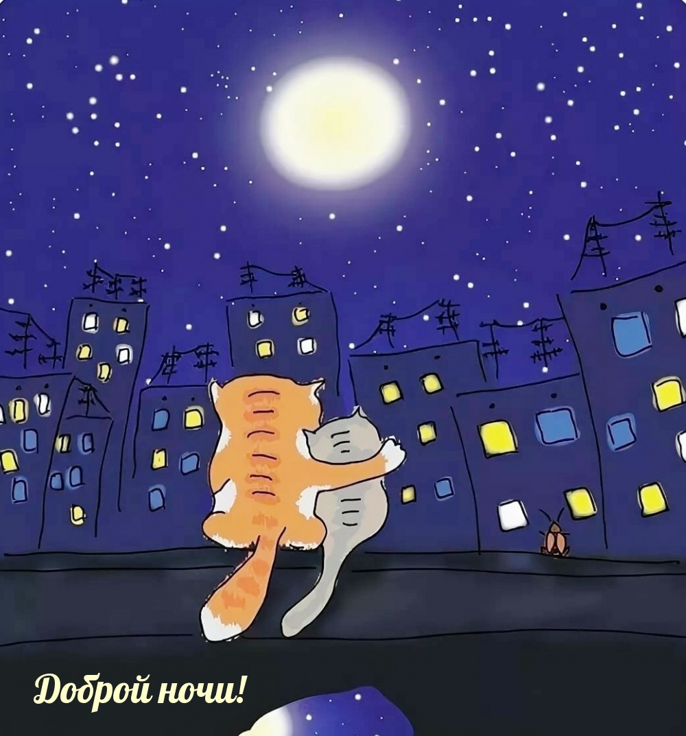 Доброй ночи!