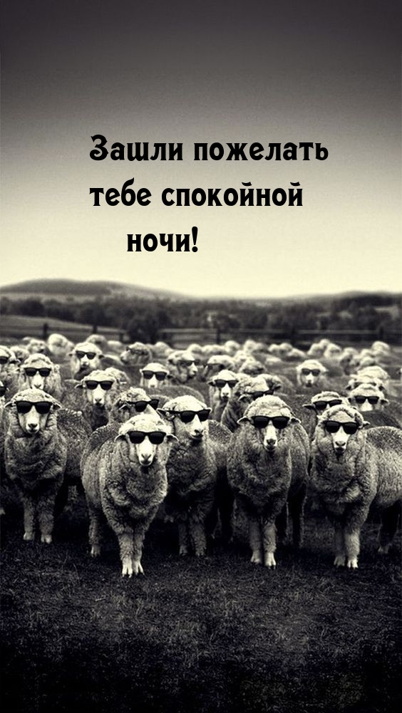 Зашли пожелать тебе спокойной ночи!