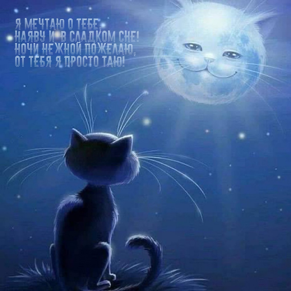 Я мечтаю о тебе, наяву и в сладком сне!