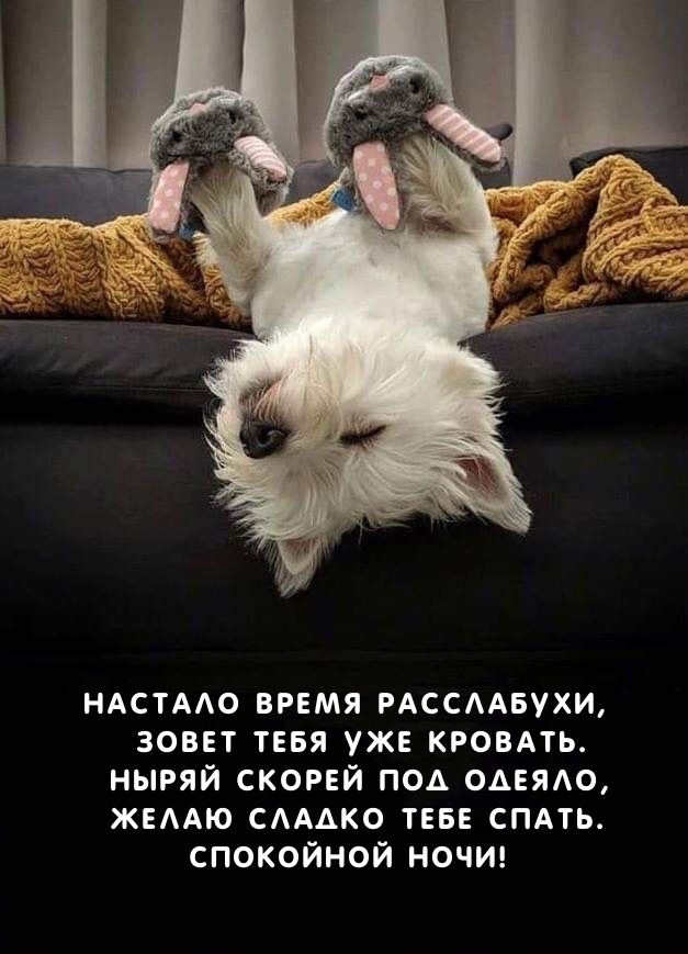 Ныряй скорей под одеяло, желаю сладко тебе спать.