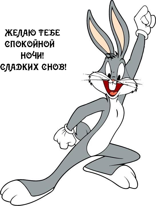 Желаю тебе спокойной ночи! Сладких снов!