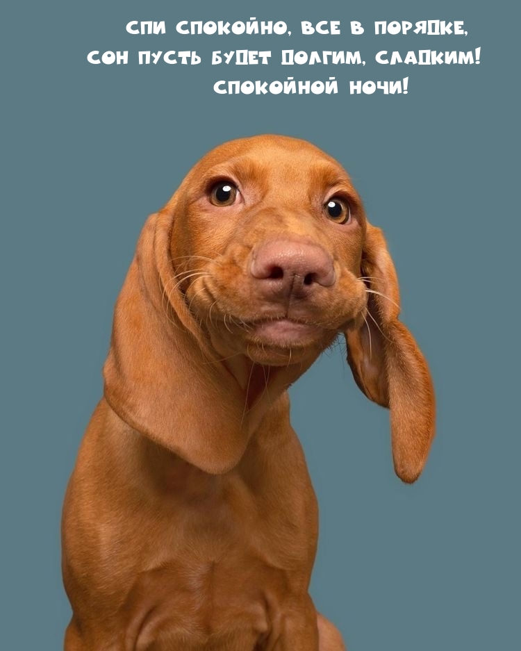 Спи спокойно, все в порядке, Сон пусть будет долгим, сладким!