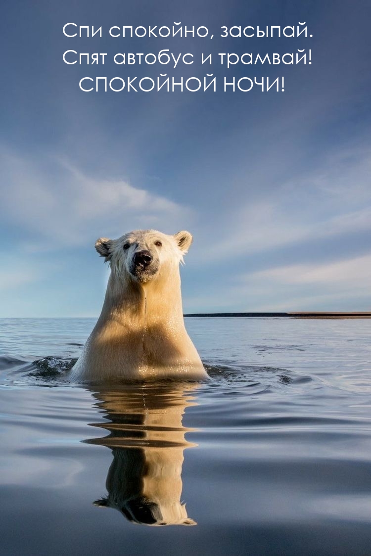 Спи спокойно, засыпай. Спят автобус и трамвай