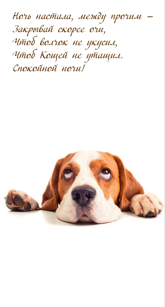 Ночь настала, между прочим - закрывай скорее очи