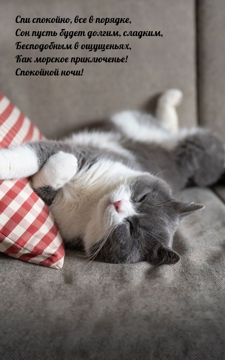 Спокойной ночи! Спи спокойно, все в порядке