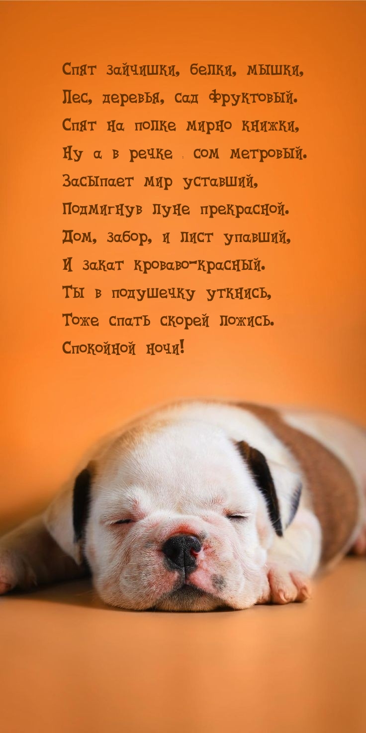 Тоже спать скорей ложись. Спокойной ночи!