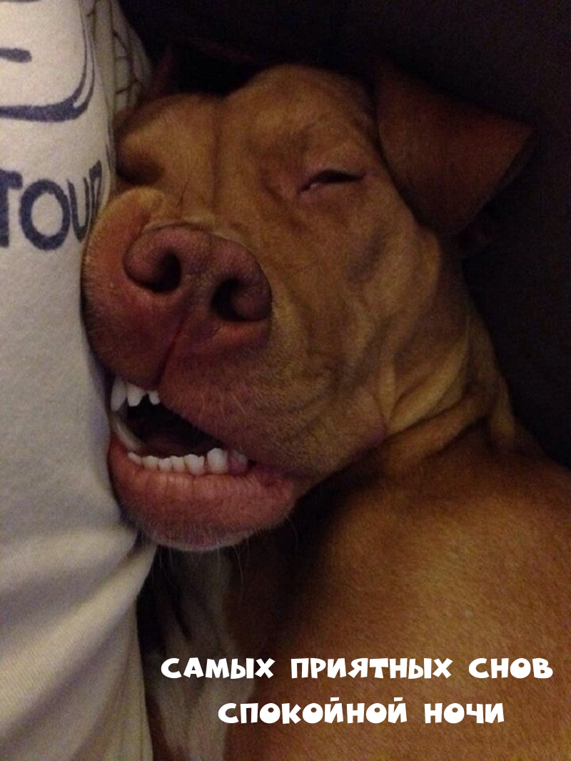 Самых приятных снов Спокойной ночи