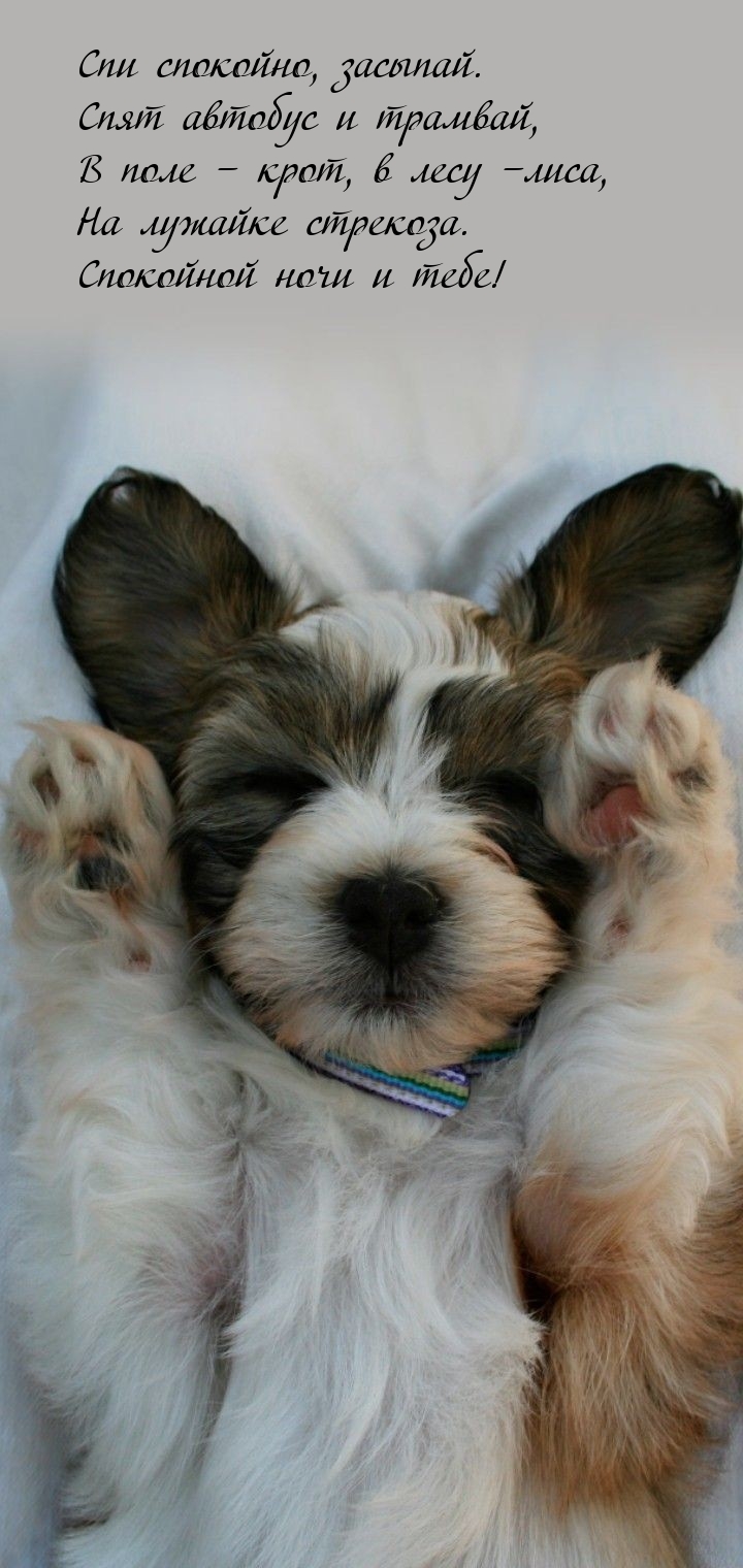 Спи спокойно, засыпай. Спят автобус и трамвай