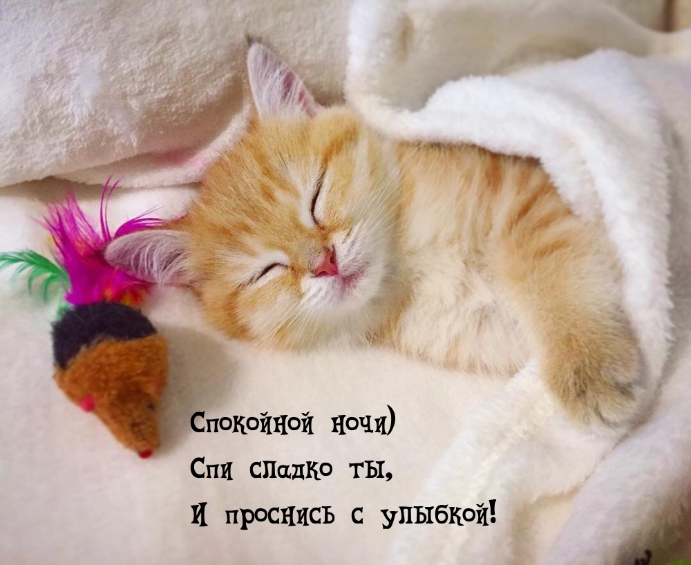 Спокойной ночи) Спи сладко ты, и проснись с улыбкой!