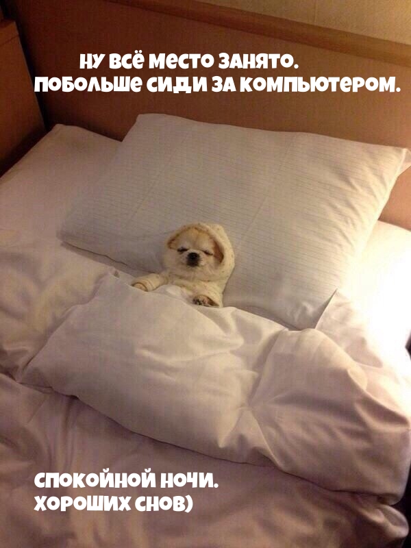 Спокойной ночи. Хороших снов)