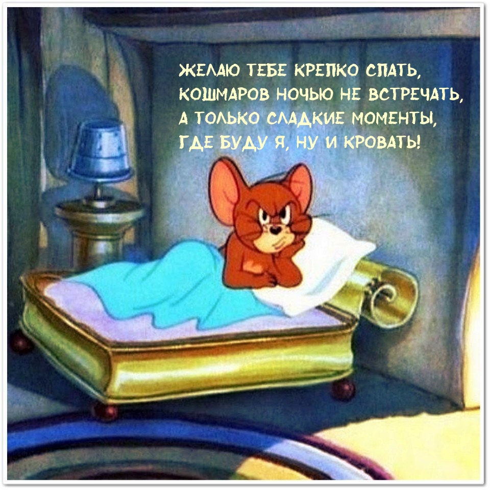 Желаю тебе крепко спать, кошмаров ночью не встречать