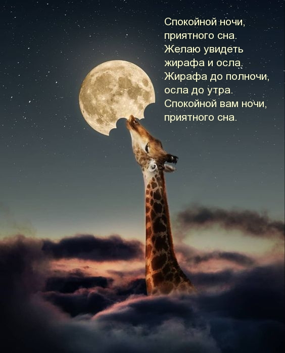 Спокойной ночи, приятного сна. Желаю увидеть жирафа и осла. 