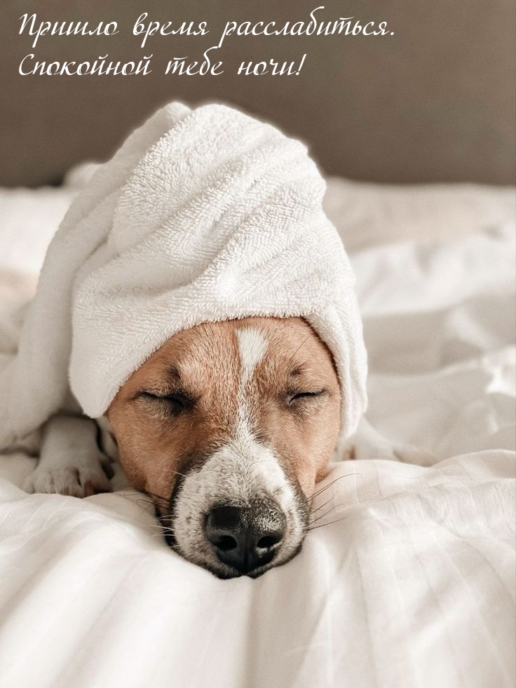 Пришло время расслабиться. Спокойной тебе ночи!