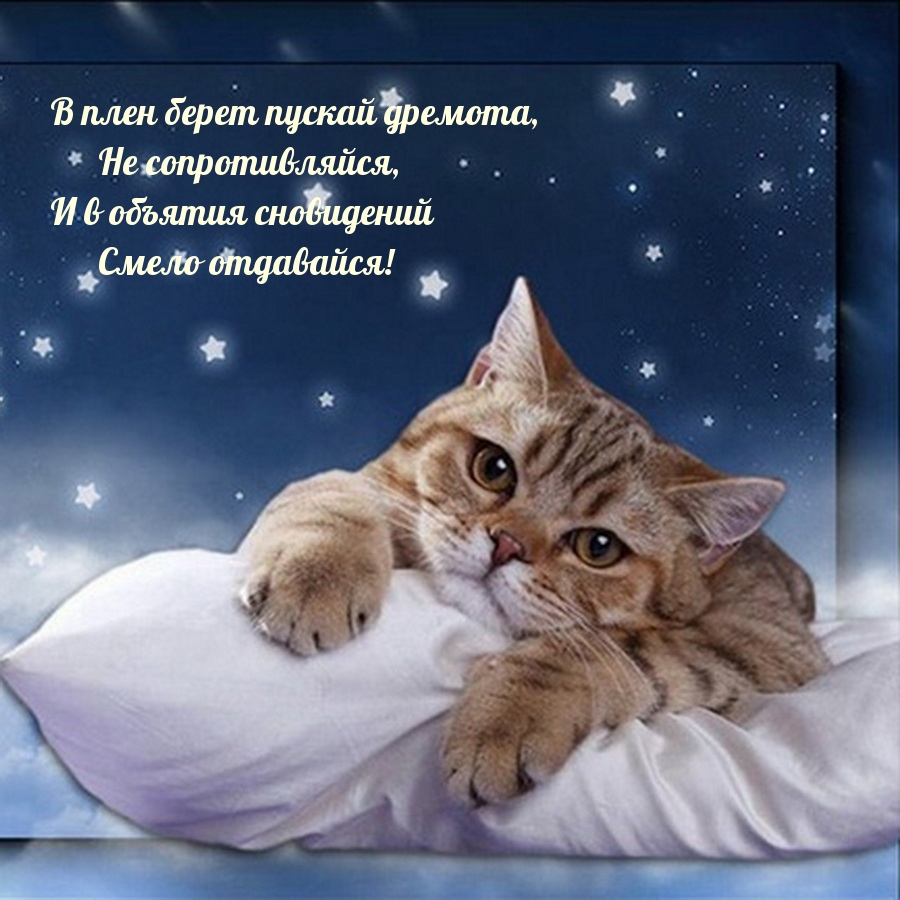 В плен берет пускай дремота, не сопротивляйся