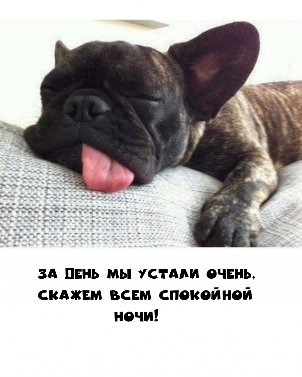 За день мы устали очень, скажем всем спокойной ночи!