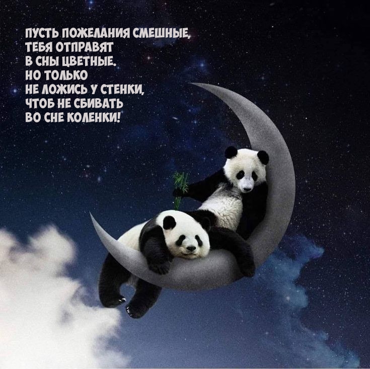 Пусть пожелания смешные, тебя отправят в сны цветные.
