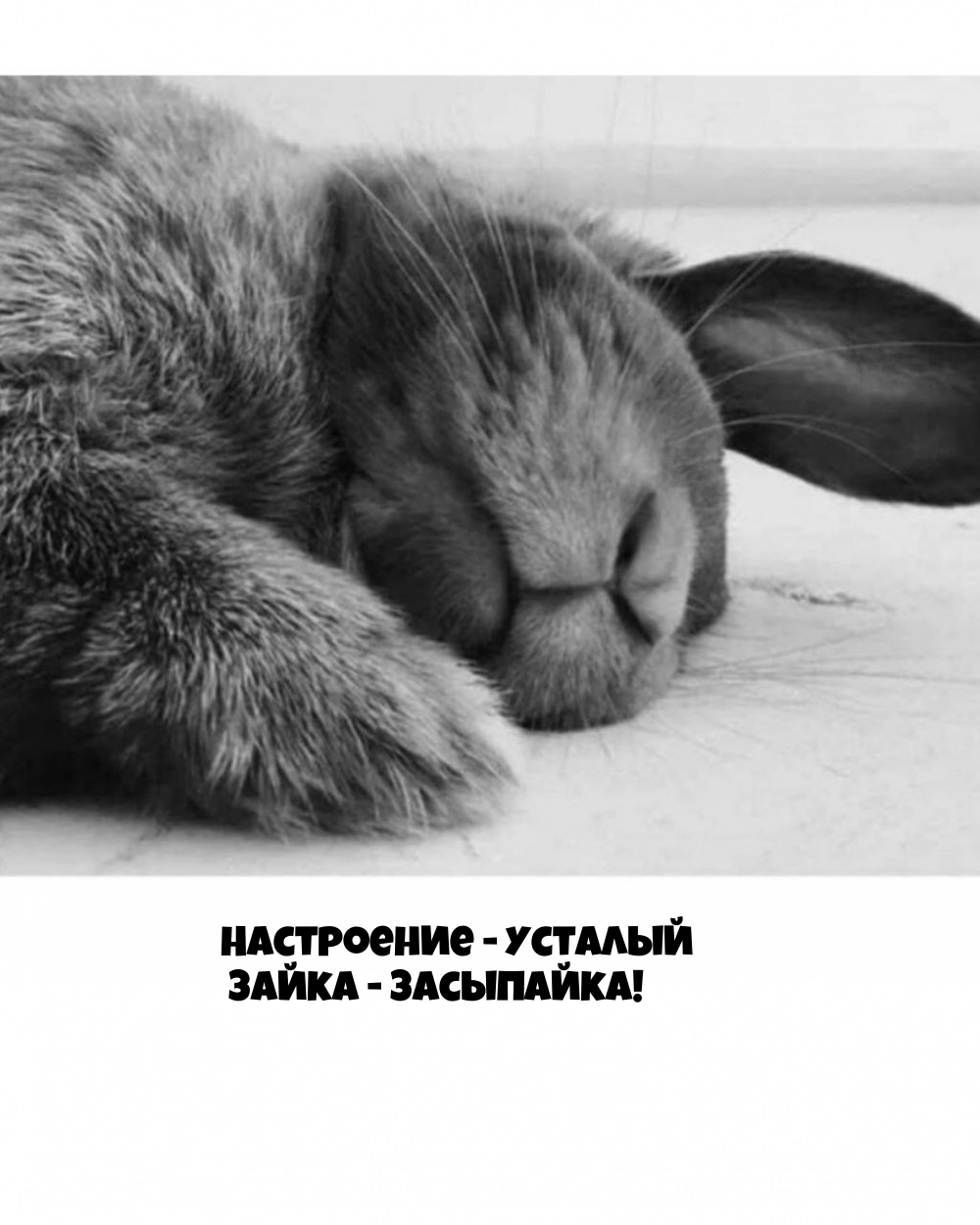 Настроение - усталый зайка - засыпайка!