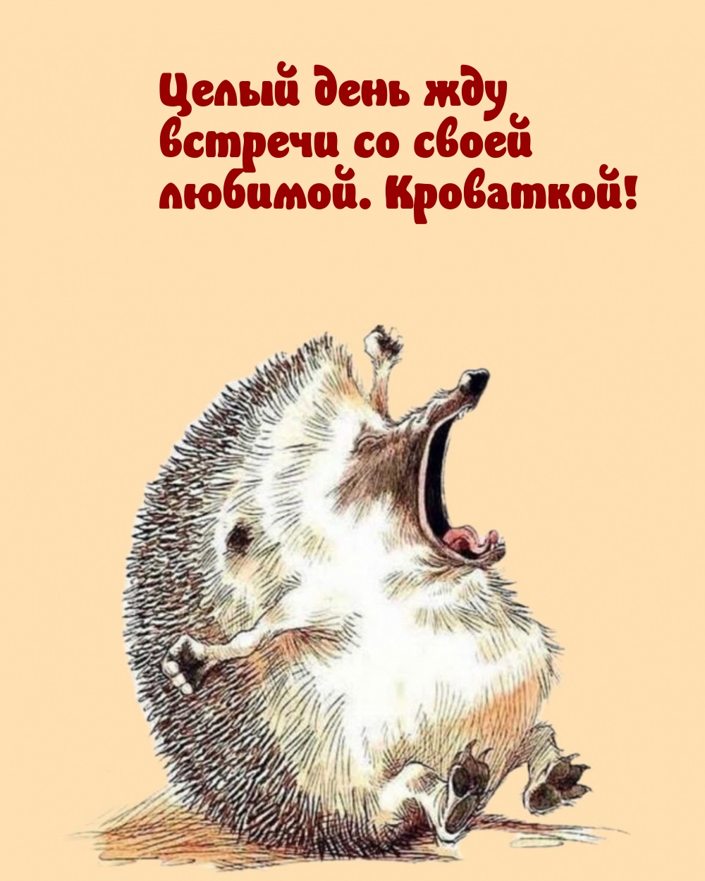 Целый день жду встречи со своей любимой. Кроваткой!