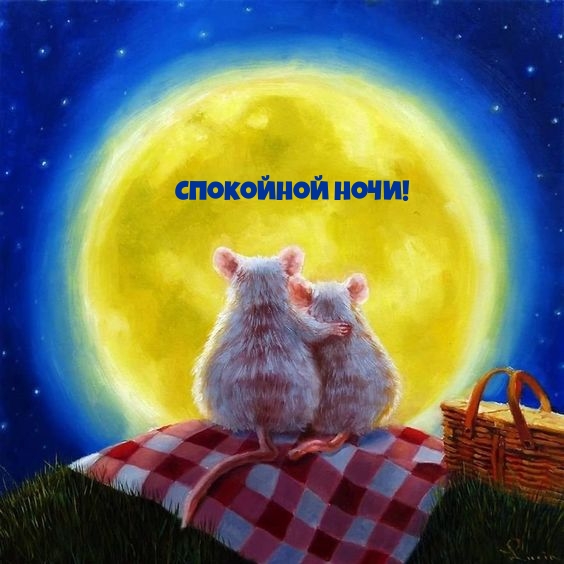 Спокойной ночи от мышат!