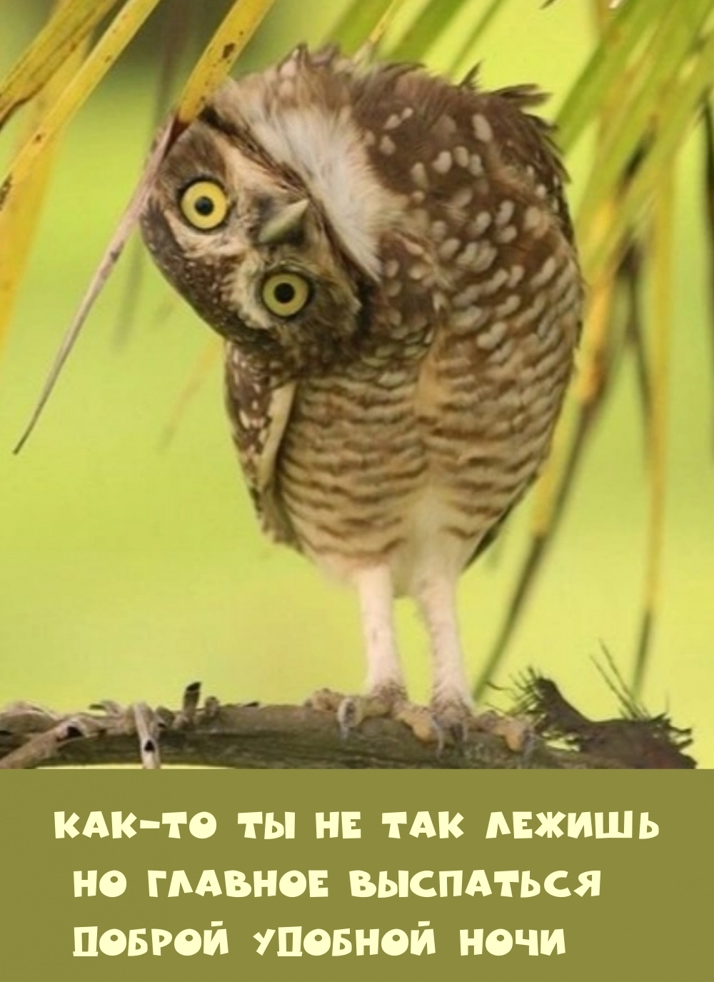 Как-то ты не так лежишь. Но главное выспаться.