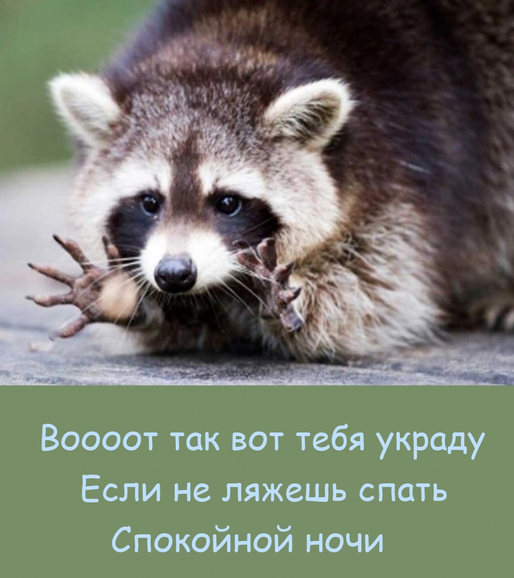 Воооот так вот тебя украду. Если не ляжешь спать.