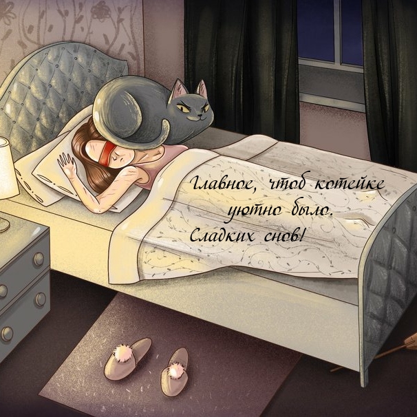 Главное, чтоб котейке уютно было. Сладких снов!