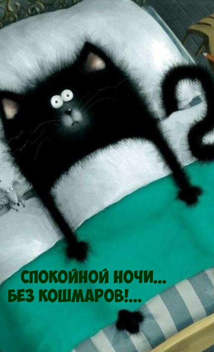 Спокойной ночи... Без кошмаров!...