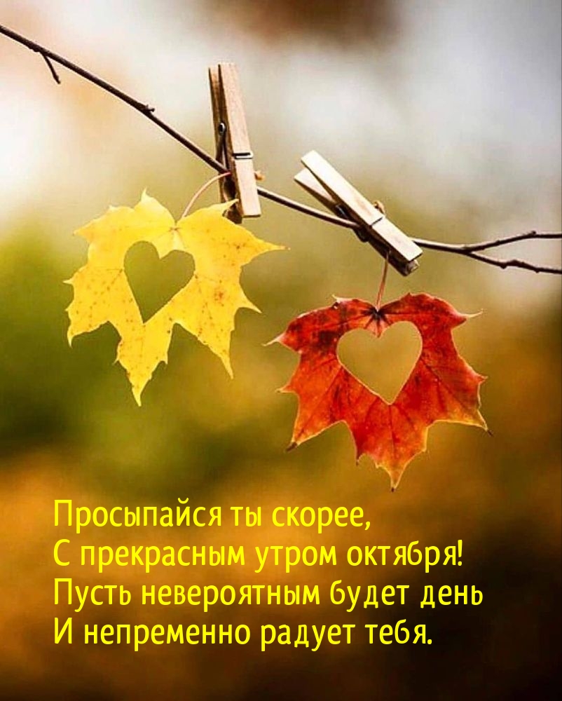 Просыпайся ты скорее, с прекрасным утром октября!