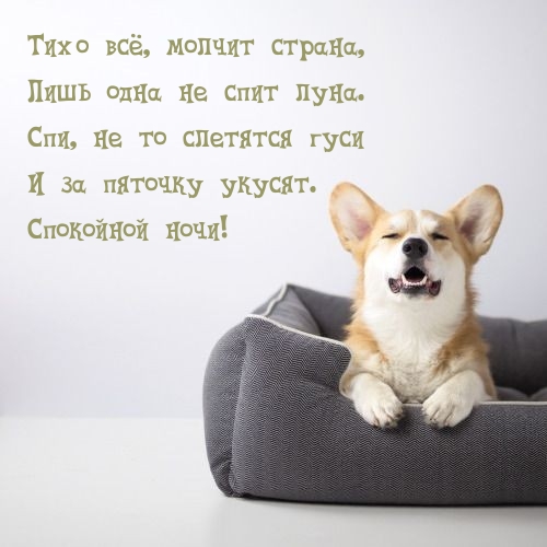 Спи, не то слетятся гуси и за пяточку укусят.