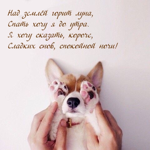 Над землёй горит луна, спать хочу я до утра.